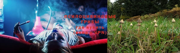 каннабис Беломорск
