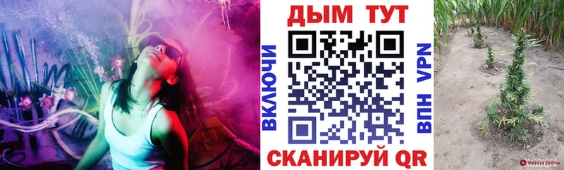 нарко площадка какой сайт  Чулым  Шишки марихуана THC 21% 
